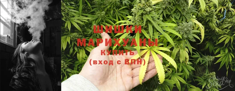 Канабис SATIVA & INDICA  где продают   Орлов 